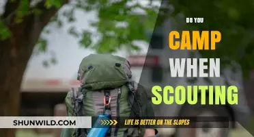 Scouting Adventures: Camping Essentials for Unforgettable Outdoor Experiences