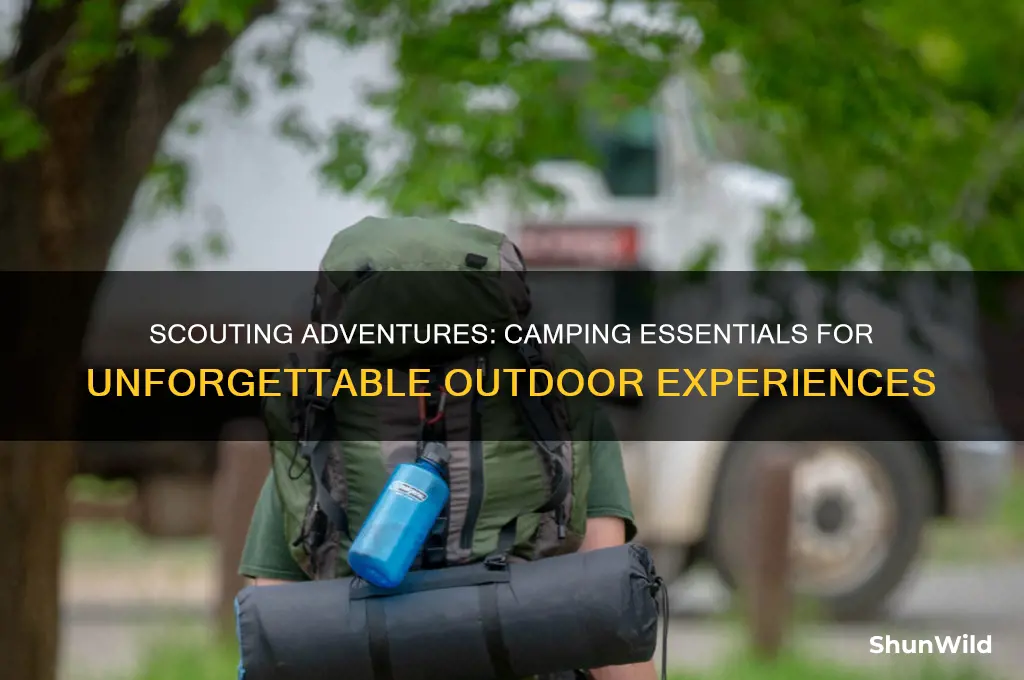 do you camp when scouting