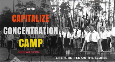 Concentration Camp Capitalization: Proper Grammar for Sensitive Historical Terms