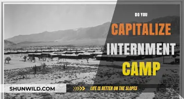 Capitalizing Internment Camps: Grammar Rules and Historical Sensitivity Explained