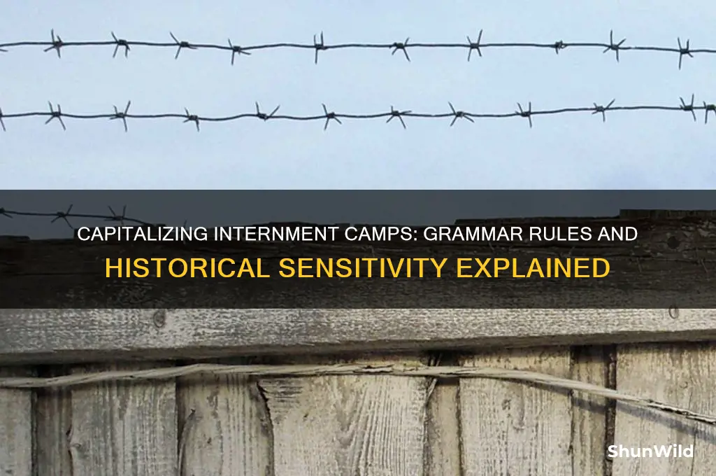 do you capitalize internment camp