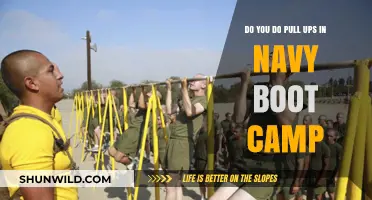 Navy Boot Camp Pull-Ups: Expectations, Challenges, and Training Tips