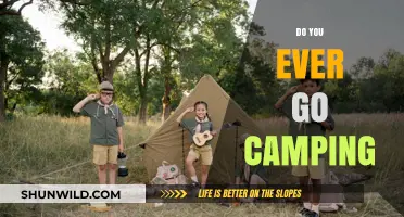 Do You Ever Go Camping? Exploring Nature's Serenity and Adventure