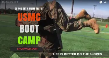 USMC Boot Camp Urine Test: What to Expect and Why