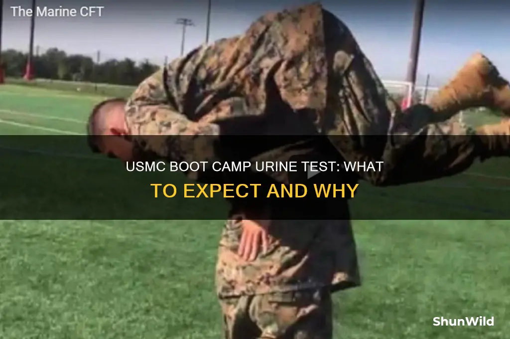 do you get a urine test at usmc boot camp