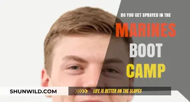 Marine Boot Camp Reality: Do Recruits Face the Infamous Spray Test?