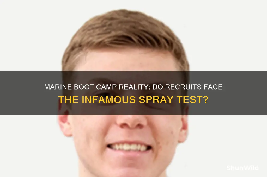 do you get sprayed in the marines boot camp