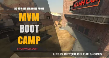 Unveiling MVM Boot Camp: Do Participants Encounter Strange Experiences?