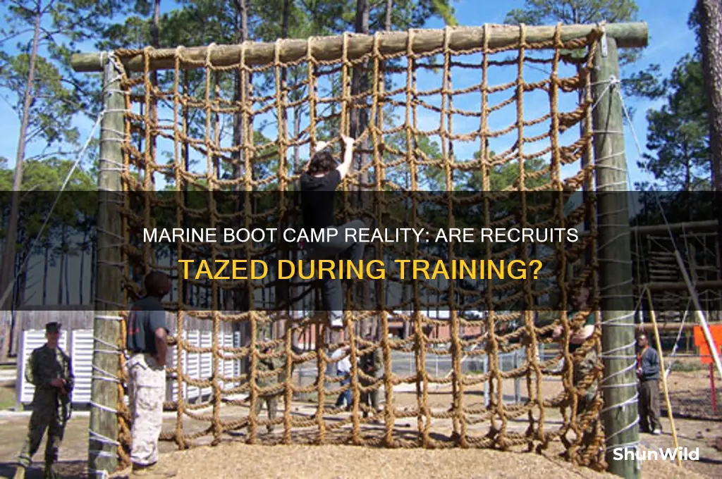 do you get tazed in the marines boot camp