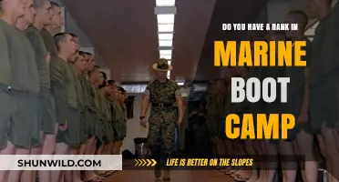 Understanding Marine Boot Camp Ranks: What You Need to Know