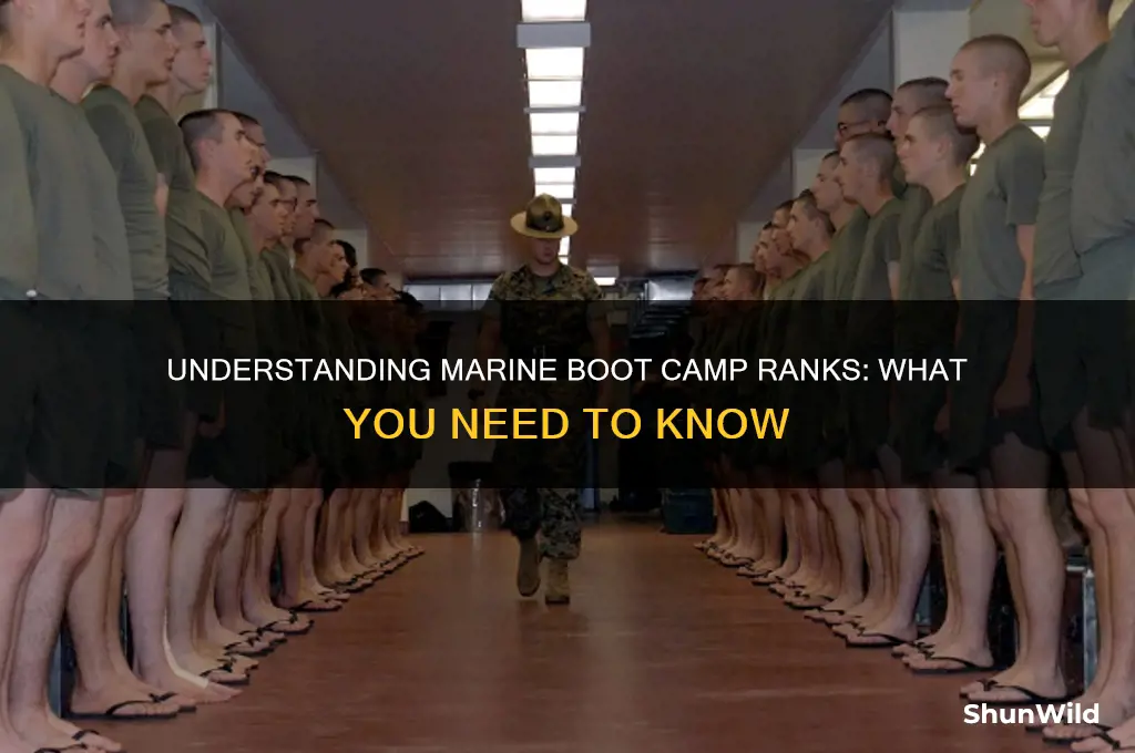 do you have a rank in marine boot camp