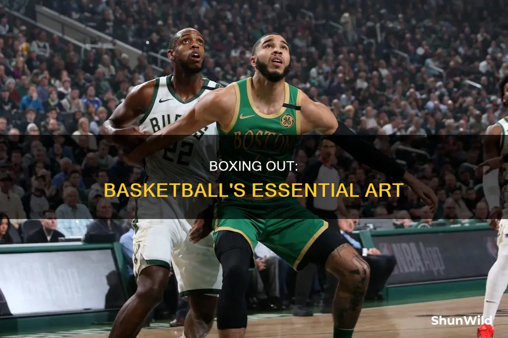 do you have to box out in basketball