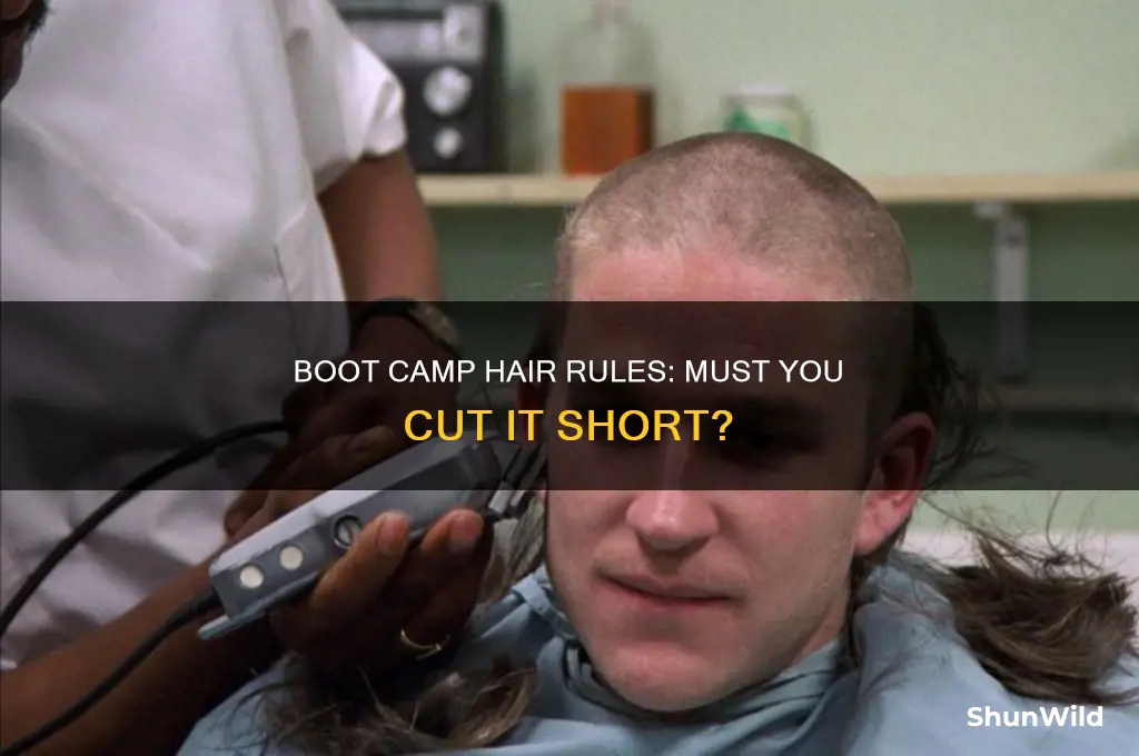do you have to cut your hair in boot camp