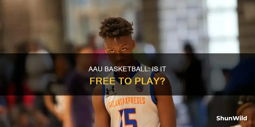 do you have to pay for aau basketball