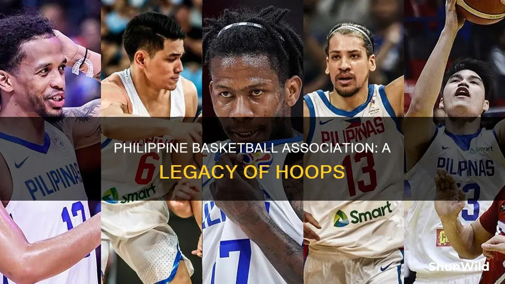 do you know the philippine basketball association