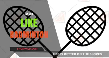 Badminton: Fun, Fitness, and Friendship