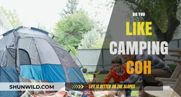 Exploring the Great Outdoors: Do You Enjoy Camping, Cohere?
