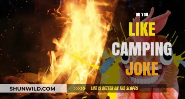 Laughing Under the Stars: Camping Jokes to Brighten Your Outdoor Adventure