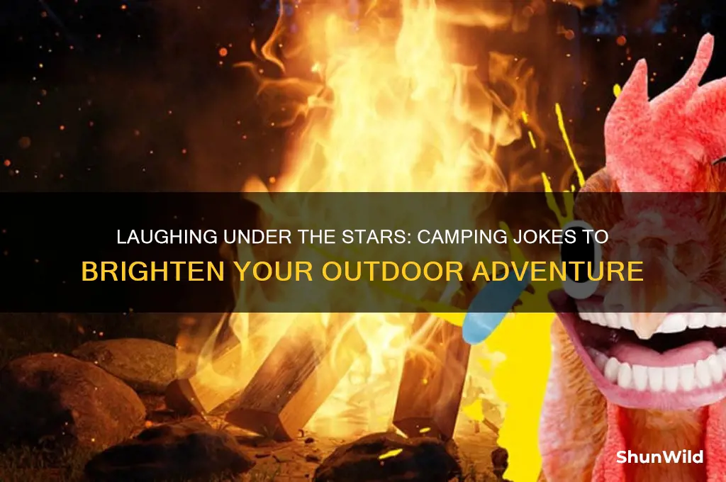 do you like camping joke