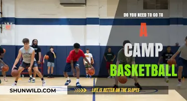 Camp Basketball: The Secret to Success?