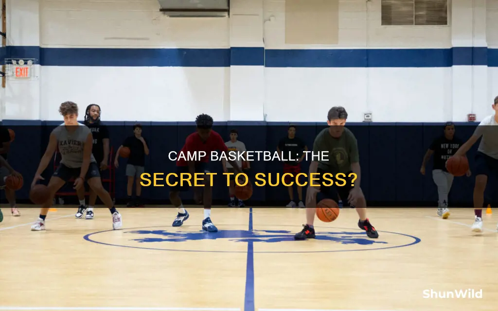 do you need to go to a camp basketball