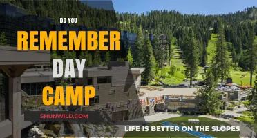 Nostalgic Adventures: Do You Remember the Magic of Day Camp?