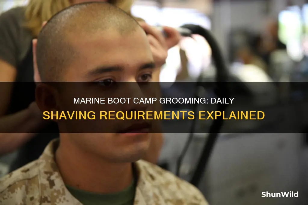 do you shave everyday in marine boot camp