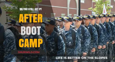 Post-Boot Camp PT: What to Expect After Basic Training