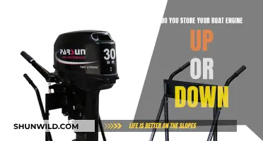 Storing Your Boat: Engine Up or Down?