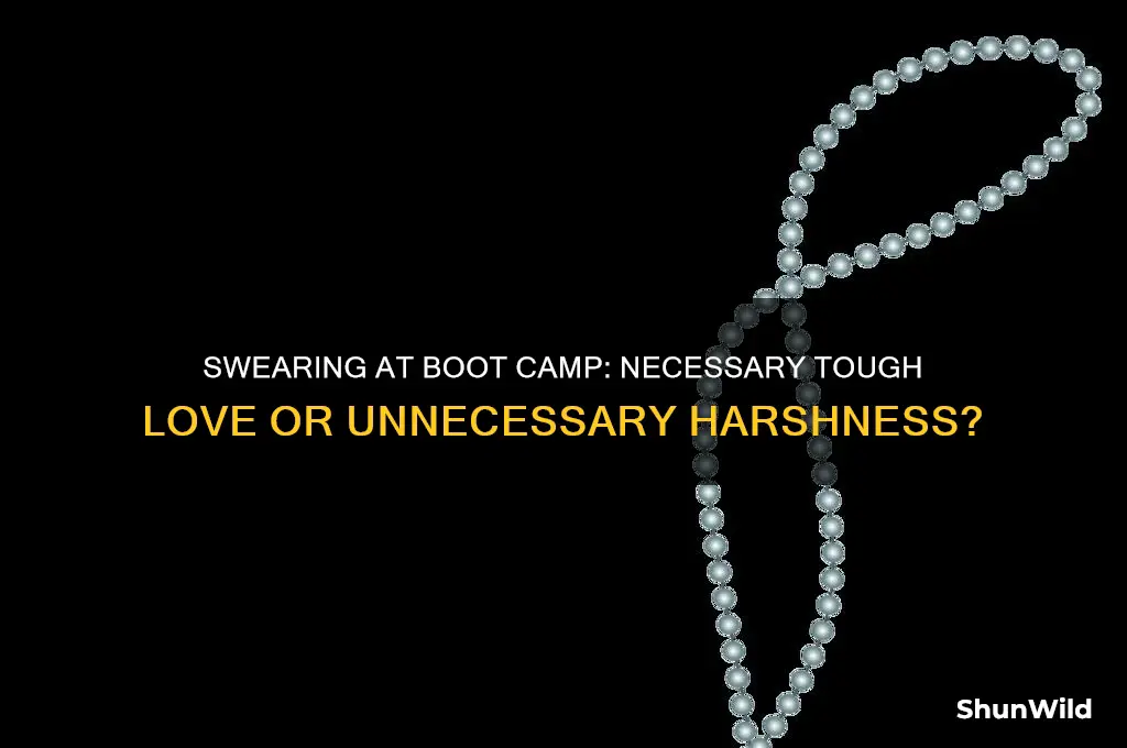 do you swear at boot camp