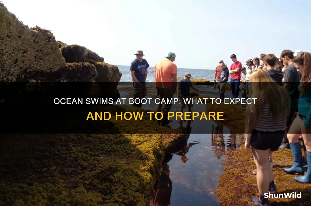do you swim in the ocean at boot camp