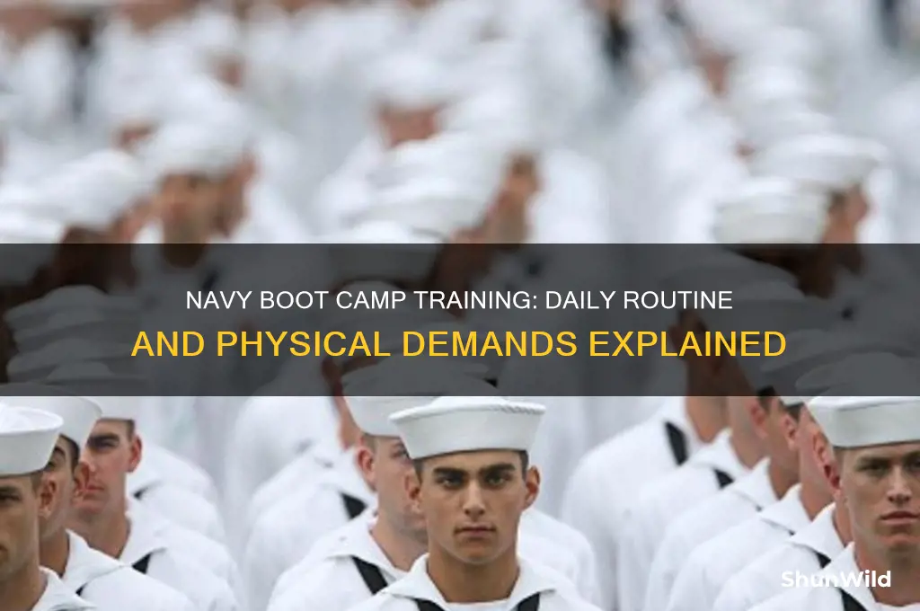 do you train everyday in boot camp navy