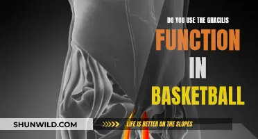 Gracilis Flexibility: Unlocking Basketball's Hidden Power