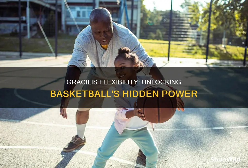 do you use the gracilis function in basketball