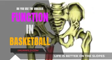 The Gracilis Muscle: Basketball's Secret Weapon?