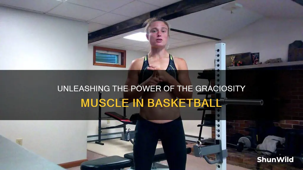 do you use the gracilis muscl in basketball