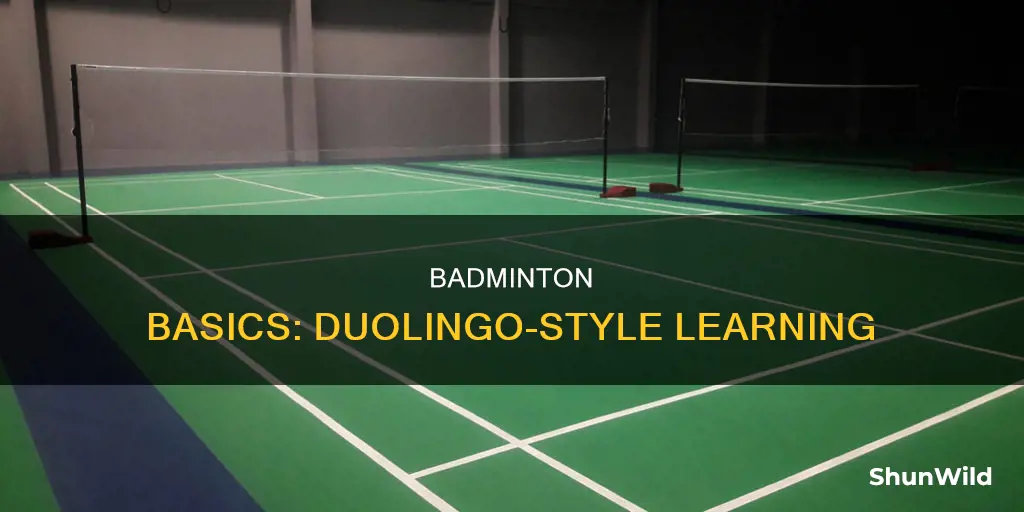 do you want to learn how to play badminton duolingo