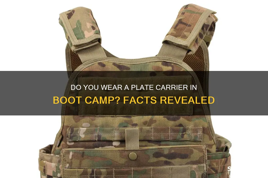 do you wear a plate carrier in boot camp