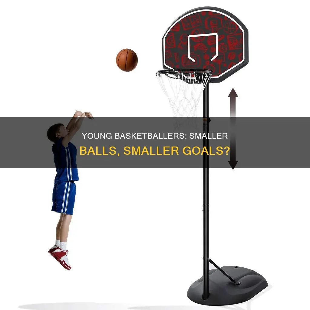do youth basketball goals require smaller balls