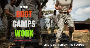 Do Youth Boot Camps Work? Examining Effectiveness and Long-Term Outcomes