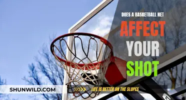 Net Impact: Does It Change Your Basketball Shot?
