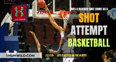 Blocked Shot: Counting as a Shot Attempt in Basketball?