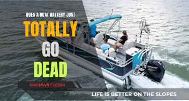 Boat Battery: Can It Be Revived or Is It Dead?