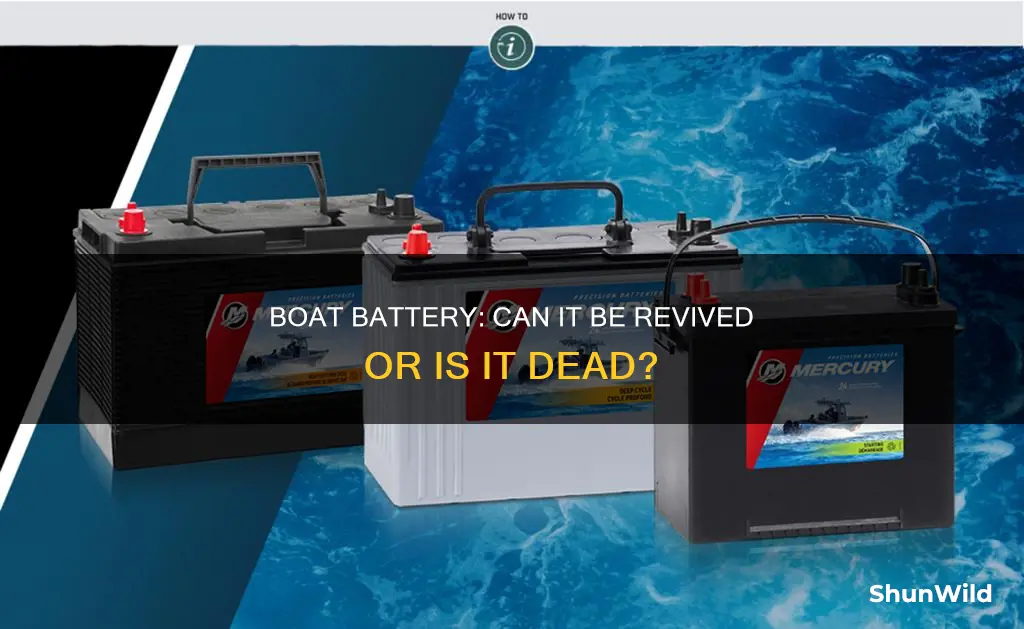 does a boat battery just totally go dead