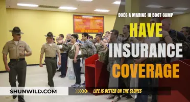 Marine Boot Camp Insurance: Coverage Details Every Recruit Should Know
