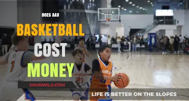 AAU Basketball: Costs and Benefits for Aspiring Players