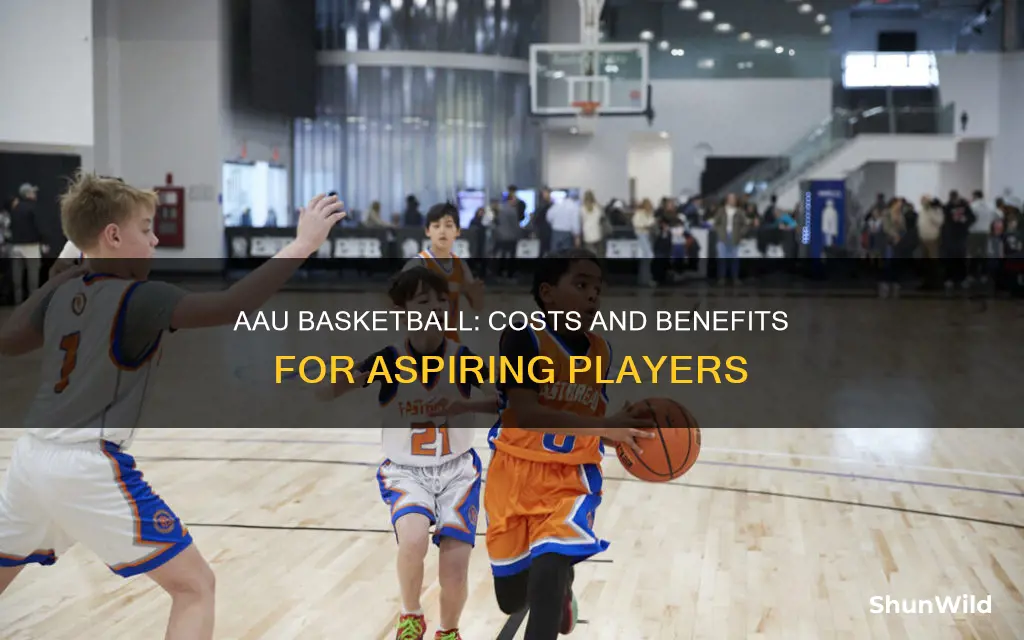 does aau basketball cost money