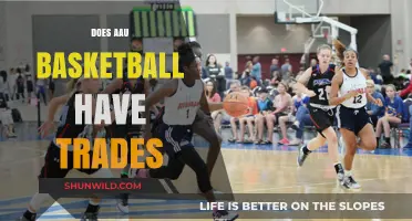 Exploring Trade Possibilities in AAU Basketball