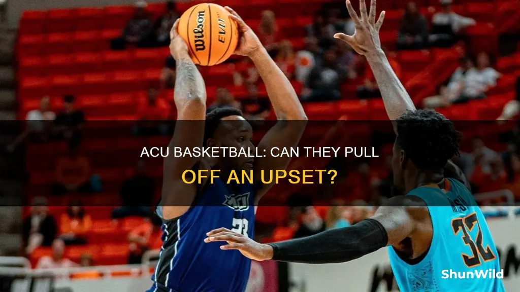 does abilene christian basketball have a chance