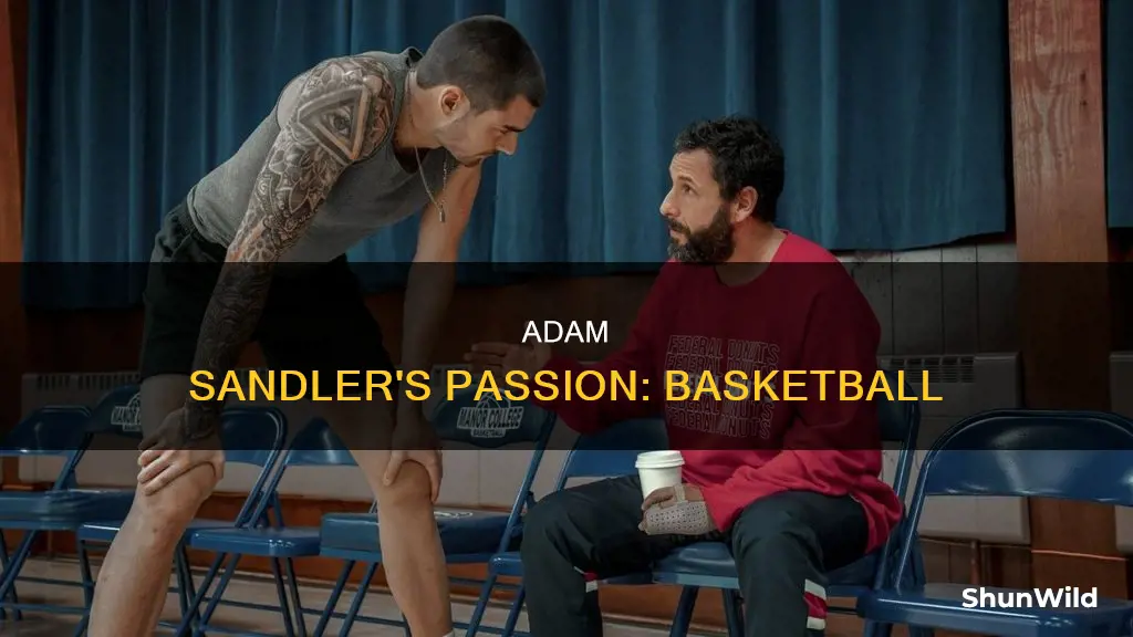 does adam sandler like basketball